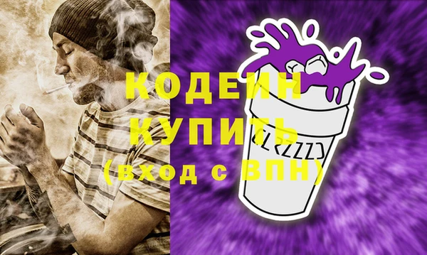 шишки Верея