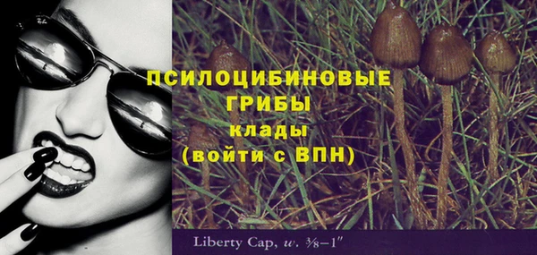 шишки Верея