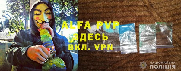 шишки Верея