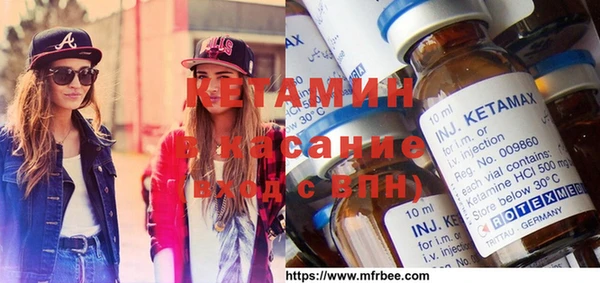 шишки Верея