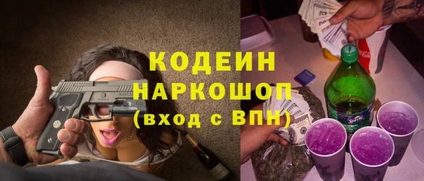 шишки Верея