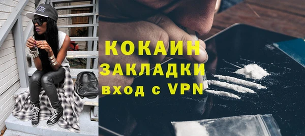 шишки Верея