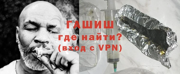 шишки Верея