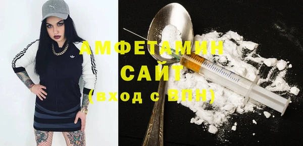 шишки Верея