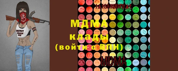 шишки Верея