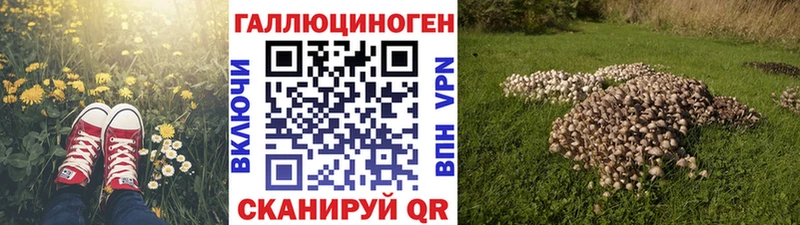 Галлюциногенные грибы Psilocybe  купить   Зима 